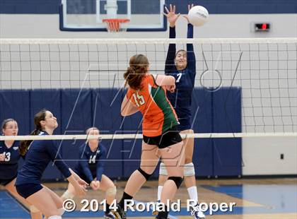 Thumbnail 3 in Naaman Forest @ Wylie East photogallery.