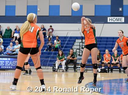 Thumbnail 3 in Naaman Forest @ Wylie East photogallery.