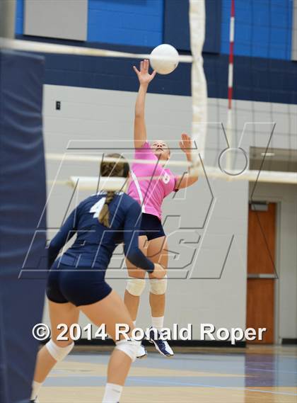 Thumbnail 3 in Naaman Forest @ Wylie East photogallery.