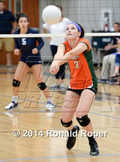Thumbnail 1 in Naaman Forest @ Wylie East photogallery.