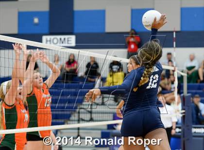 Thumbnail 3 in Naaman Forest @ Wylie East photogallery.