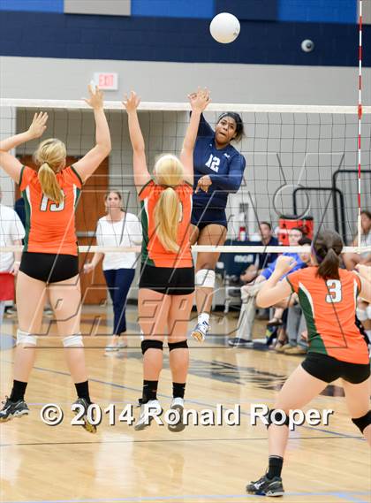Thumbnail 3 in Naaman Forest @ Wylie East photogallery.