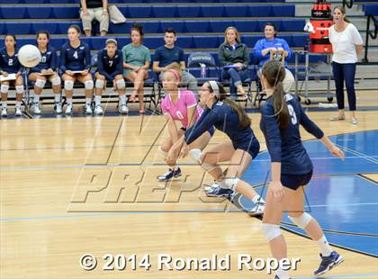 Thumbnail 2 in Naaman Forest @ Wylie East photogallery.