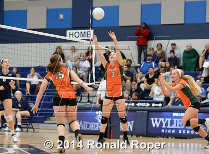 Thumbnail 3 in Naaman Forest @ Wylie East photogallery.