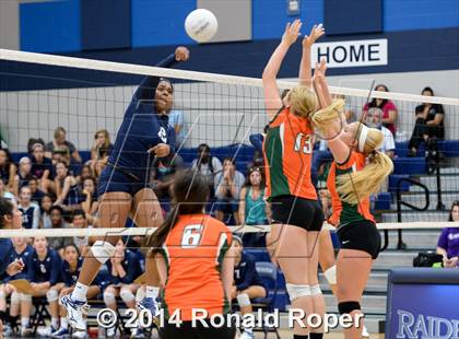 Thumbnail 1 in Naaman Forest @ Wylie East photogallery.