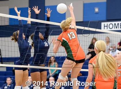 Thumbnail 2 in Naaman Forest @ Wylie East photogallery.