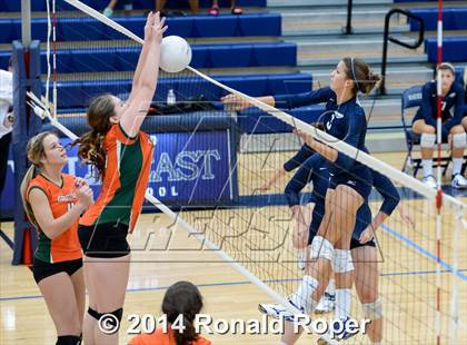 Thumbnail 2 in Naaman Forest @ Wylie East photogallery.