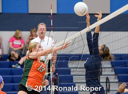 Thumbnail 3 in Naaman Forest @ Wylie East photogallery.