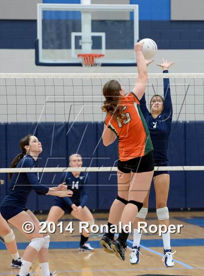 Thumbnail 1 in Naaman Forest @ Wylie East photogallery.