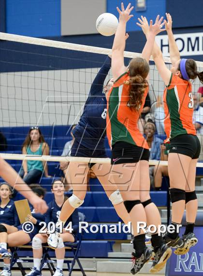 Thumbnail 2 in Naaman Forest @ Wylie East photogallery.