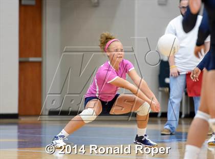 Thumbnail 3 in Naaman Forest @ Wylie East photogallery.
