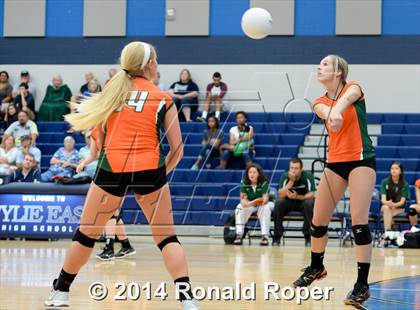 Thumbnail 1 in Naaman Forest @ Wylie East photogallery.