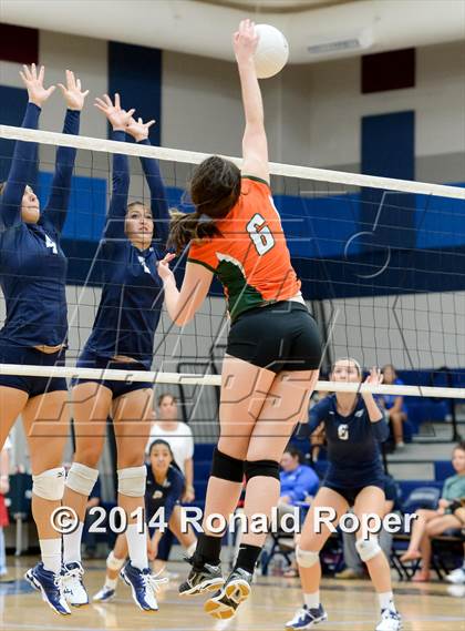Thumbnail 1 in Naaman Forest @ Wylie East photogallery.