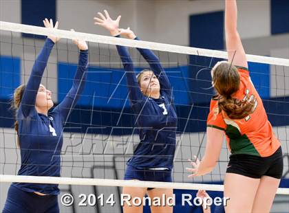 Thumbnail 1 in Naaman Forest @ Wylie East photogallery.