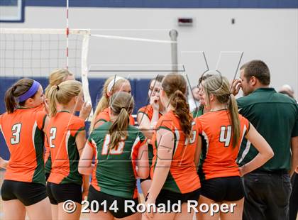 Thumbnail 3 in Naaman Forest @ Wylie East photogallery.