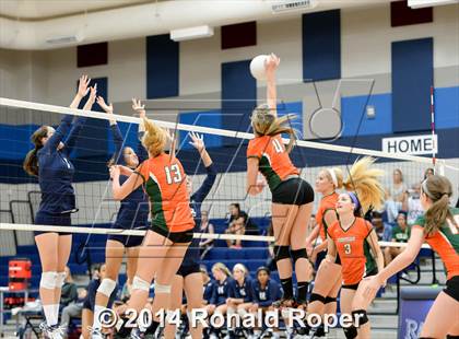 Thumbnail 3 in Naaman Forest @ Wylie East photogallery.