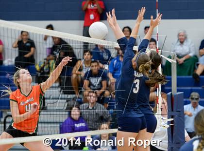 Thumbnail 2 in Naaman Forest @ Wylie East photogallery.