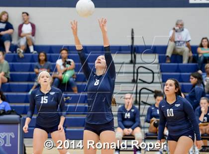 Thumbnail 1 in Naaman Forest @ Wylie East photogallery.