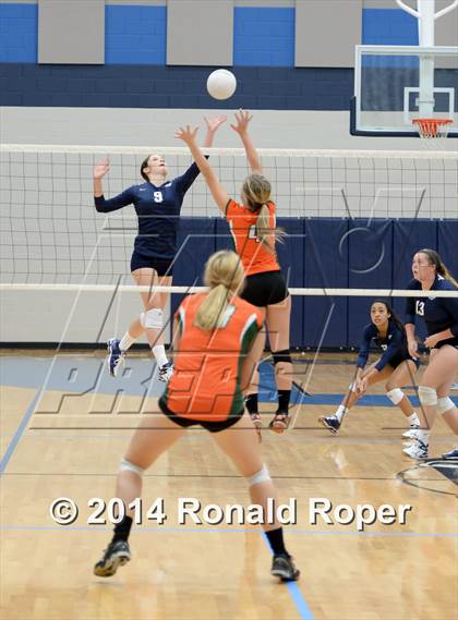 Thumbnail 1 in Naaman Forest @ Wylie East photogallery.
