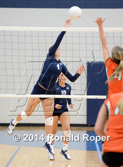 Thumbnail 2 in Naaman Forest @ Wylie East photogallery.