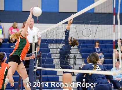 Thumbnail 2 in Naaman Forest @ Wylie East photogallery.