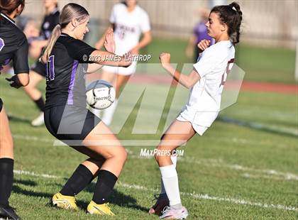 Thumbnail 3 in Pittsford @ Greece Odyssey photogallery.