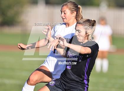 Thumbnail 1 in Pittsford @ Greece Odyssey photogallery.