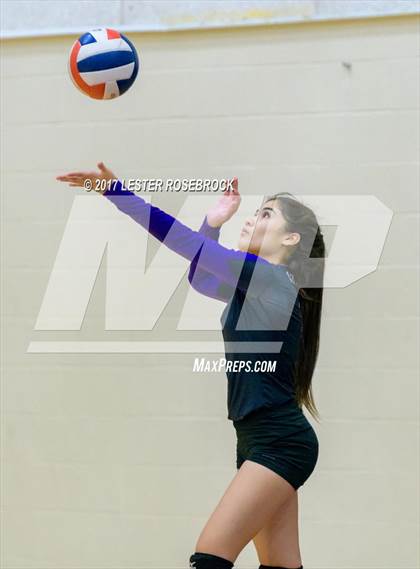 Thumbnail 1 in Clark @ Warren photogallery.