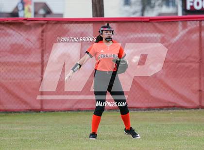 Thumbnail 1 in Jacksonville vs Southwest photogallery.