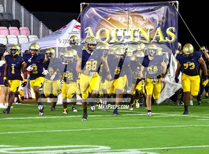 Thumbnail 1 in St. Thomas Aquinas vs. Homestead (FHSAA 3M Final) photogallery.