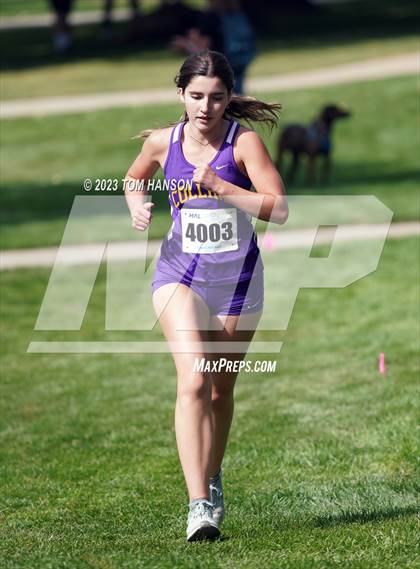 Thumbnail 2 in Loveland Sweetheart Invite photogallery.