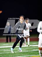 Photo from the gallery "Monterey Trail @ Laguna Creek"