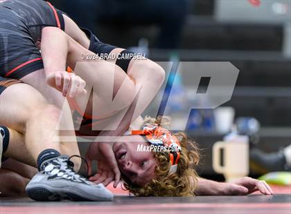 Thumbnail 1 in Weaver vs. Alexandria photogallery.