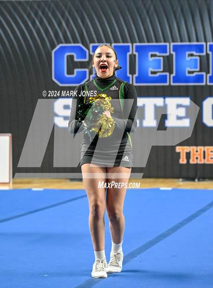 Thumbnail 1 in San Tan Charter - Cheer Game Day Championships (AIA Division III, IV) photogallery.