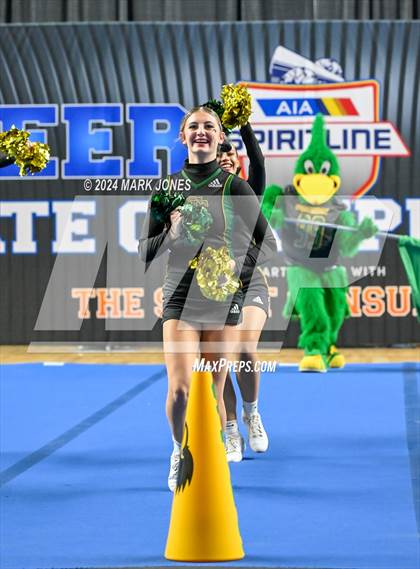 Thumbnail 1 in San Tan Charter - Cheer Game Day Championships (AIA Division III, IV) photogallery.