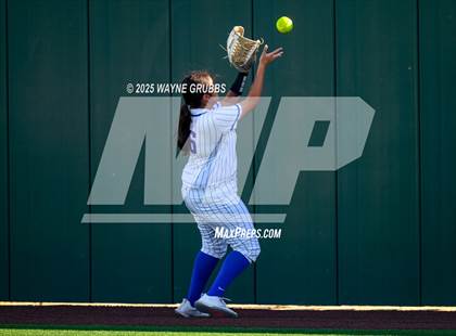 Thumbnail 2 in Grapevine @ Hallsville (UIL 5A D2 State Semifinal) photogallery.