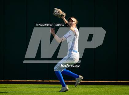 Thumbnail 3 in Grapevine @ Hallsville (UIL 5A D2 State Semifinal) photogallery.