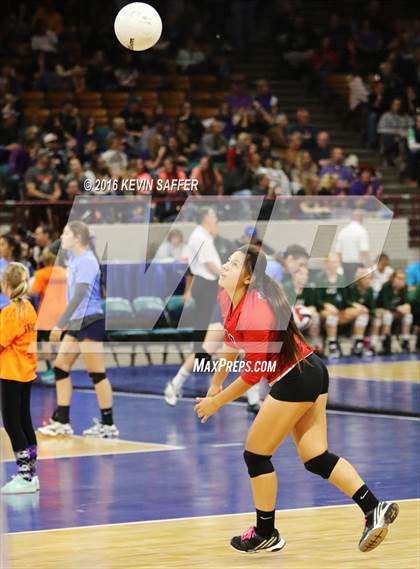 Thumbnail 2 in Nucla vs. Holly (CHSAA 1A Quarterfinal) photogallery.
