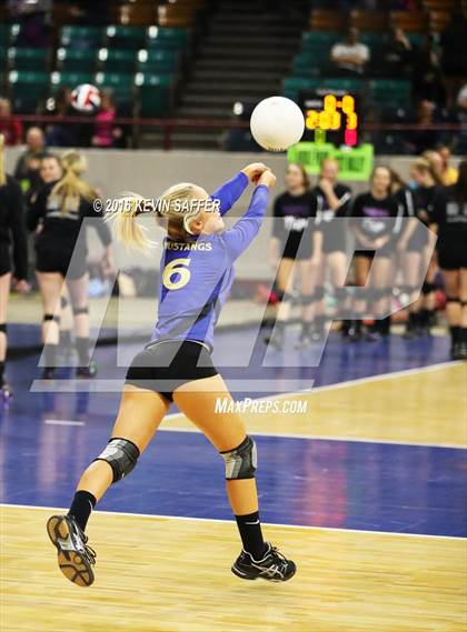 Thumbnail 3 in Nucla vs. Holly (CHSAA 1A Quarterfinal) photogallery.