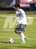 Photo from the gallery "Gulf @ Dunedin"