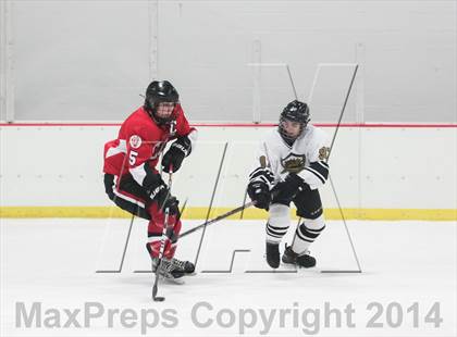 Thumbnail 3 in Chaminade vs Vianney photogallery.