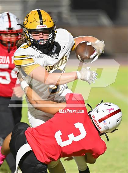 Thumbnail 3 in Goldwater @ Agua Fria photogallery.
