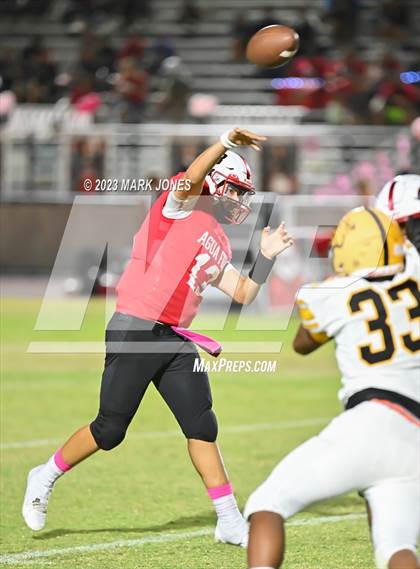 Thumbnail 3 in Goldwater @ Agua Fria photogallery.