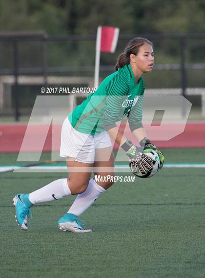 Thumbnail 3 in Dublin Coffman vs. Olentangy Liberty photogallery.
