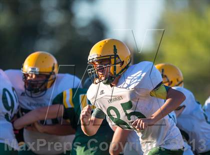 Thumbnail 1 in Argonaut @ Placer photogallery.