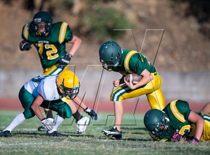 Thumbnail 2 in Argonaut @ Placer photogallery.