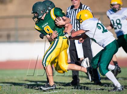 Thumbnail 1 in Argonaut @ Placer photogallery.