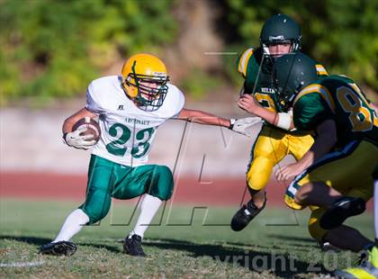 Thumbnail 2 in Argonaut @ Placer photogallery.