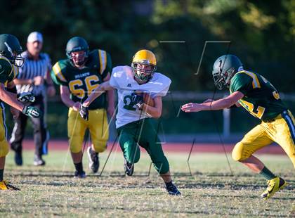 Thumbnail 2 in Argonaut @ Placer photogallery.