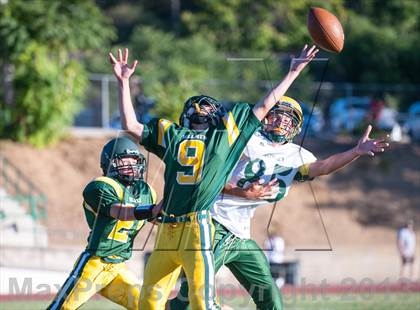 Thumbnail 3 in Argonaut @ Placer photogallery.